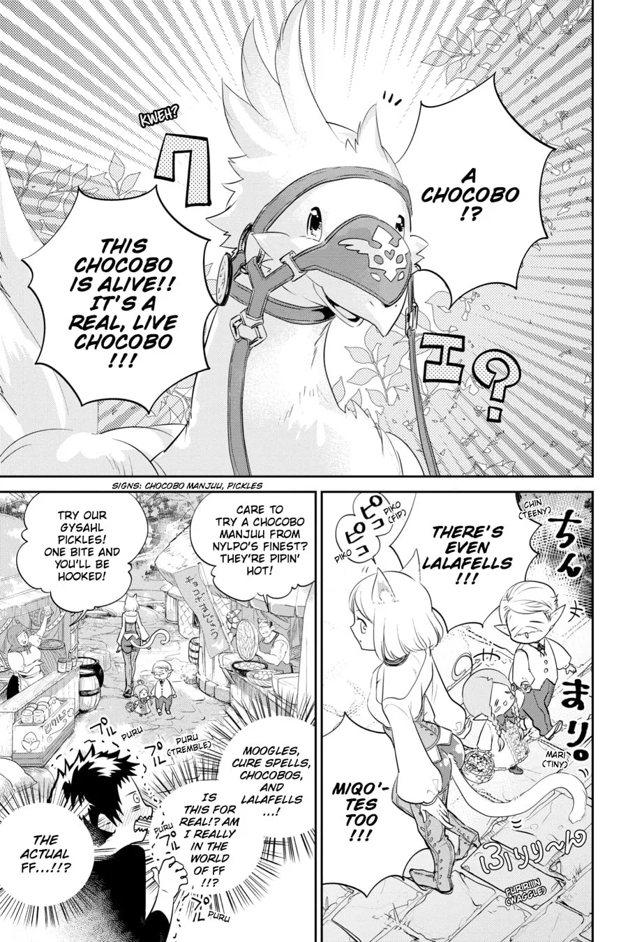 Read Final Fantasy Lost Stranger chapter 1 image 22 on Lezhin