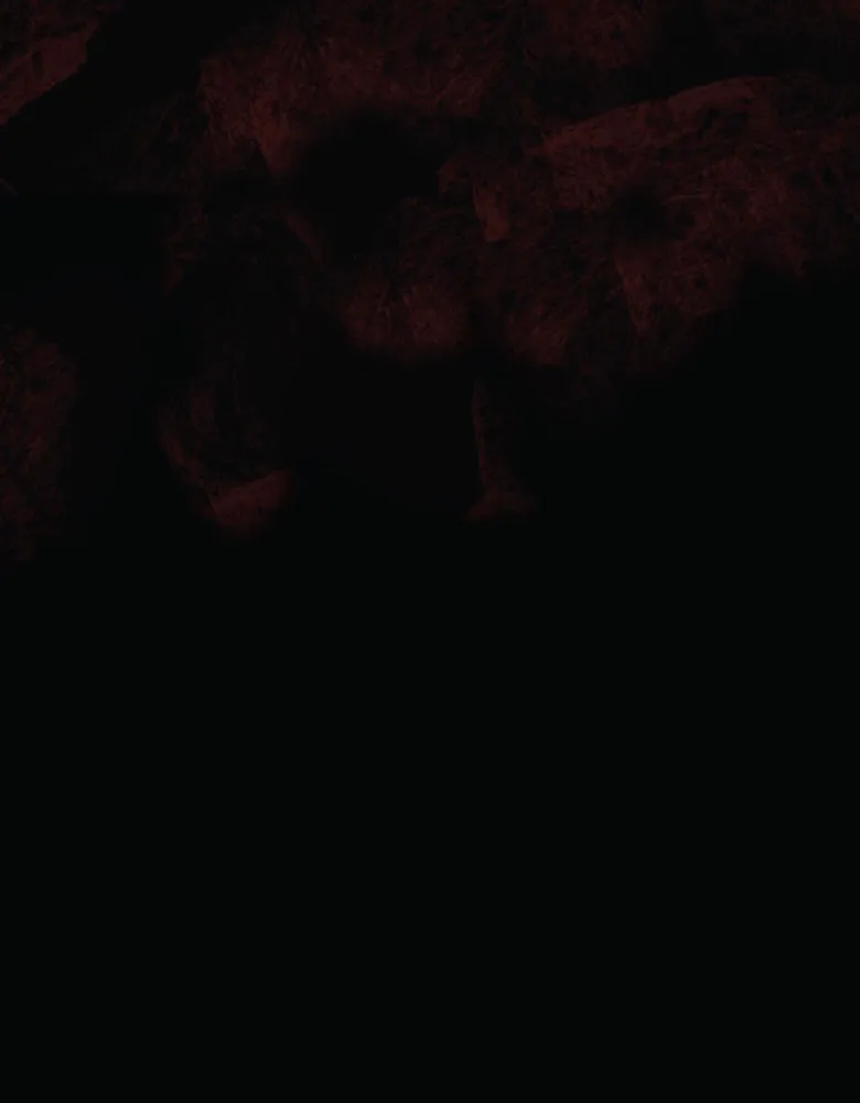 Read FINALITY chapter 6 image 1 on Lezhin