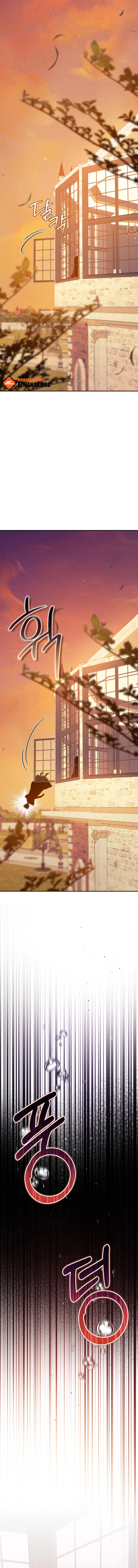 Read Finally, the Dawn Came chapter 13 image 1 on Lezhin