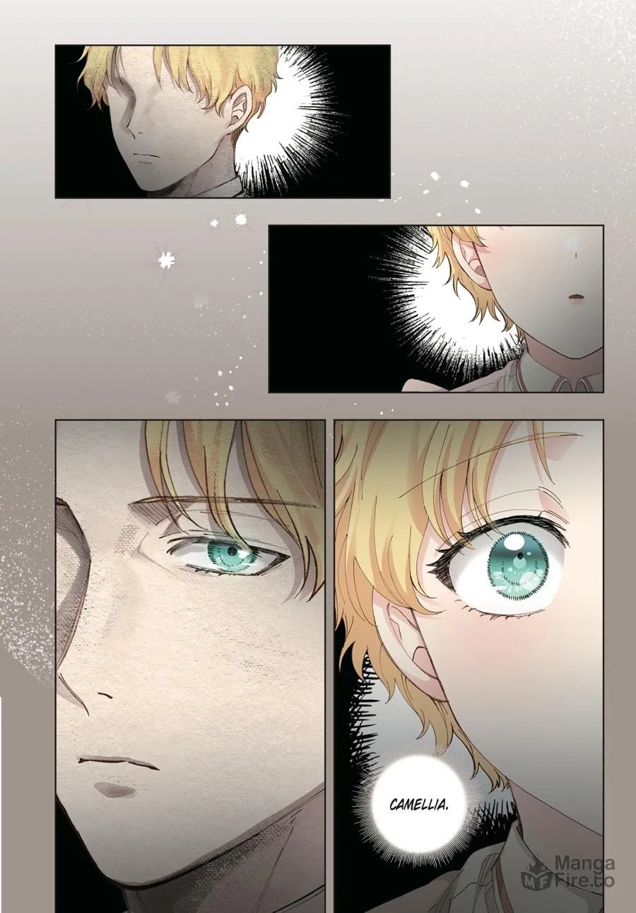 Read Finding Camellia (Manga) chapter 1 image 56 on Lezhin