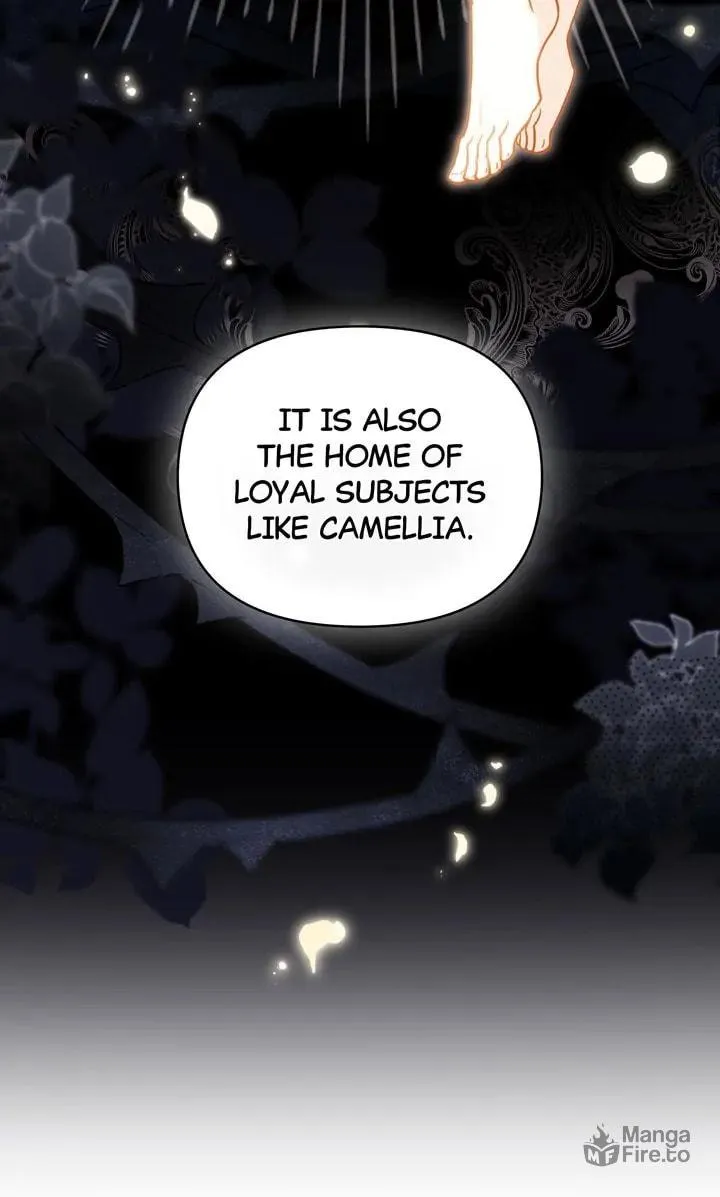 Read Finding Camellia chapter 105 image 23 on Lezhin