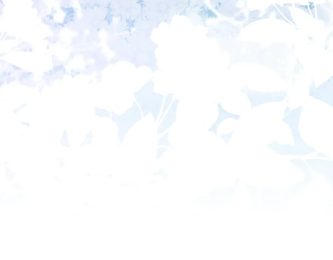Read Finding Twilight chapter 80 image 255 on Lezhin