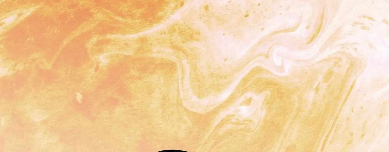 Read Fire in the Swamp chapter 84 image 188 on Lezhin