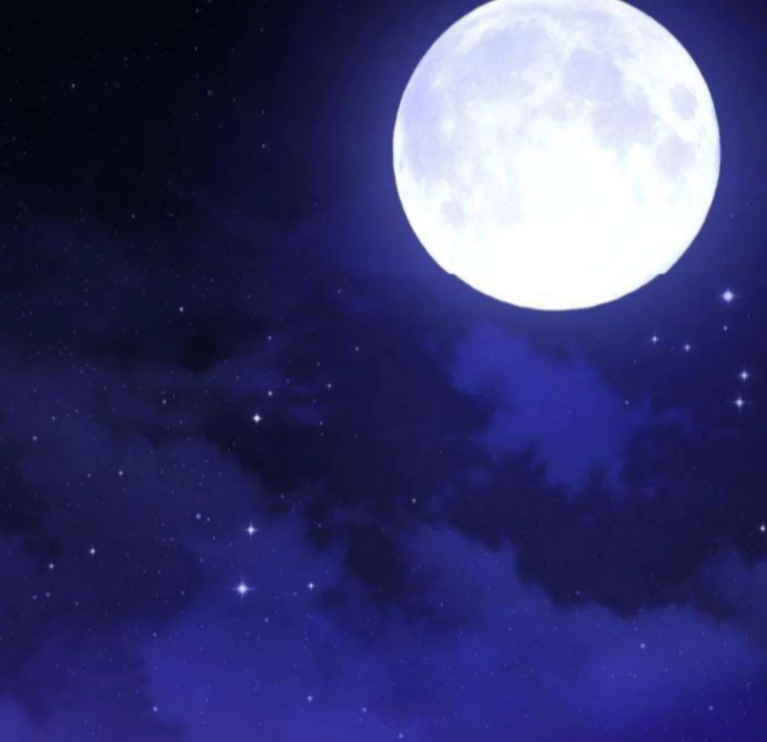 Read First Love chapter 7 image 77 on Lezhin