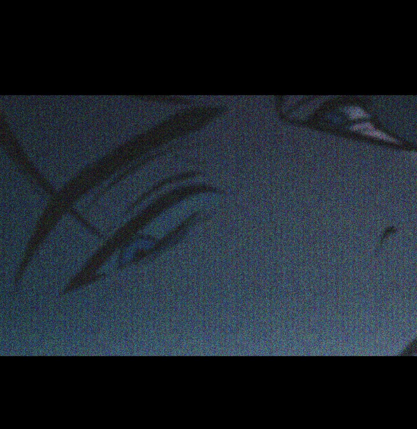 Read Flashlight chapter 61.1 image 15 on Lezhin