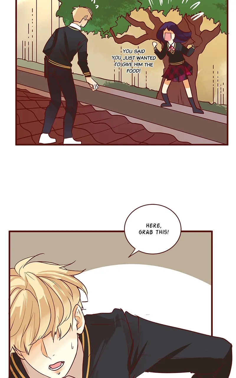 Read Flawless chapter 141 image 20 on Lezhin