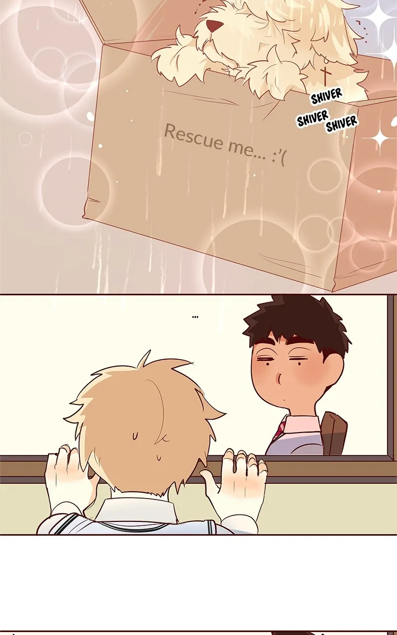 Read Flawless chapter 164 image 8 on Lezhin