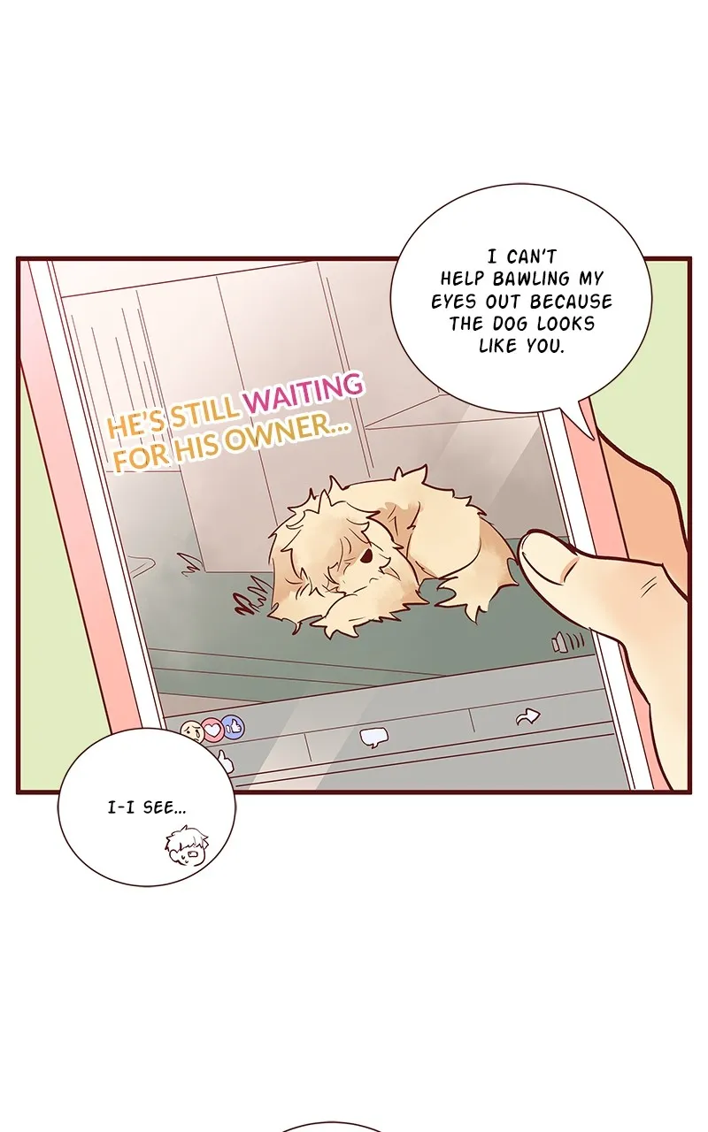 Read Flawless chapter 186 image 35 on Lezhin