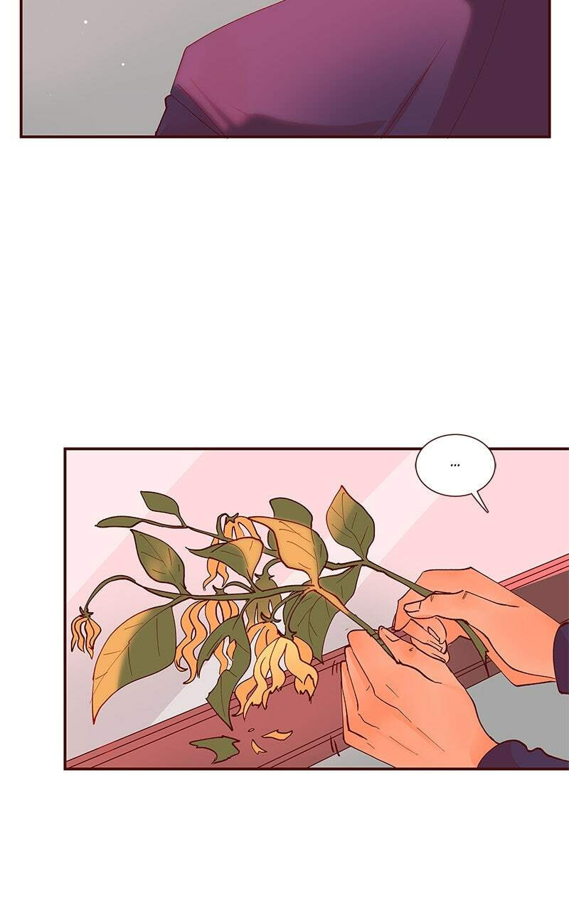 Read Flawless chapter 2.1 image 37 on Lezhin