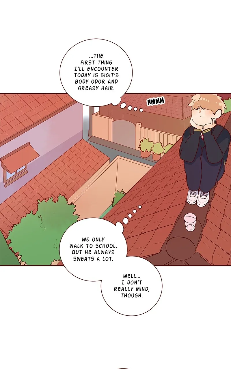 Read Flawless chapter 203 image 5 on Lezhin