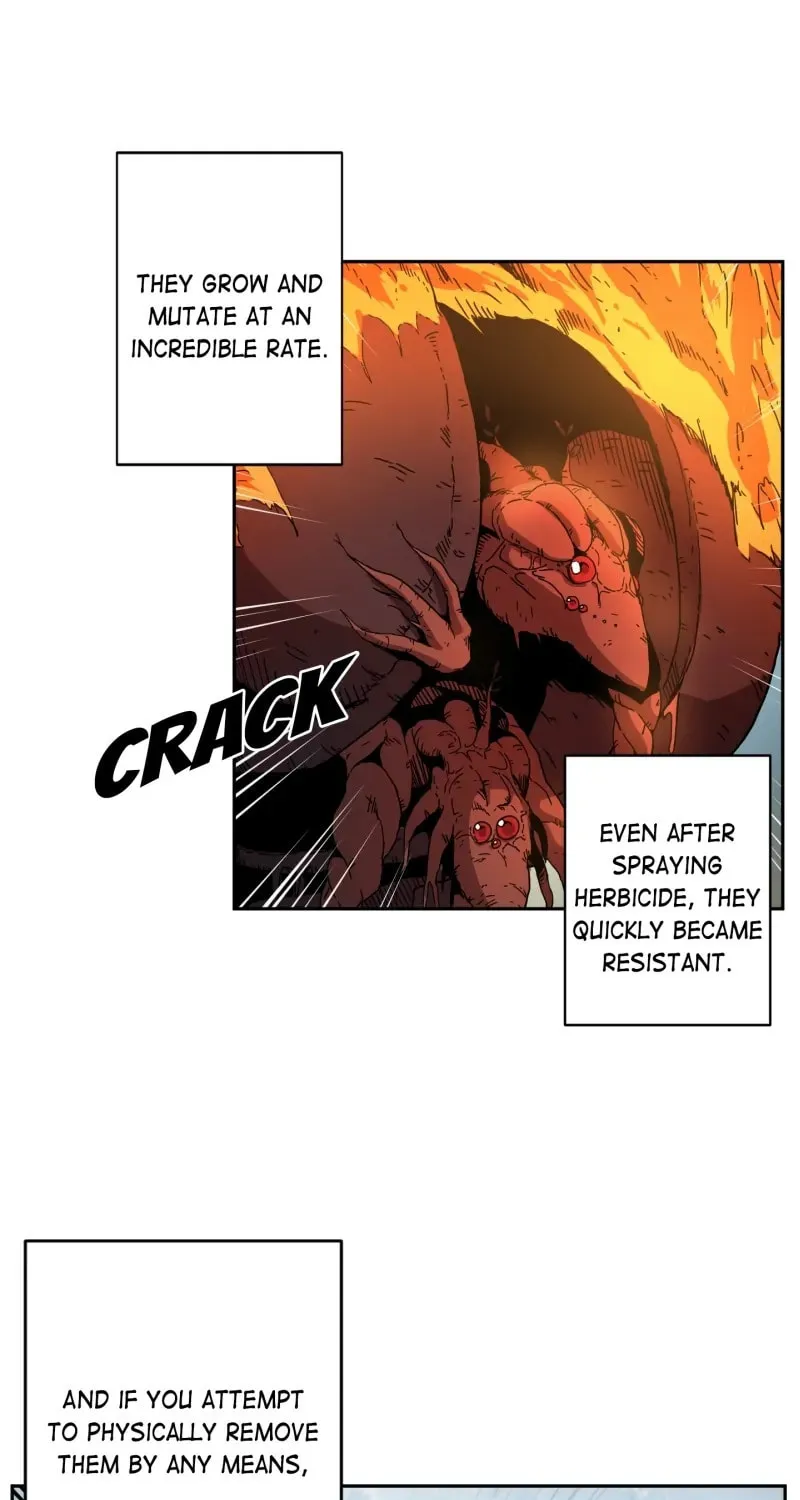 Read Flower War (Colored) chapter 24 image 9 on Lezhin