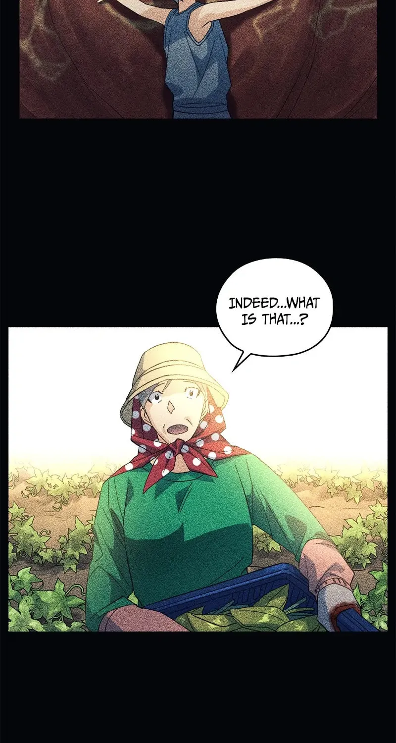 Read Flower War (Colored) chapter 61 image 3 on Lezhin