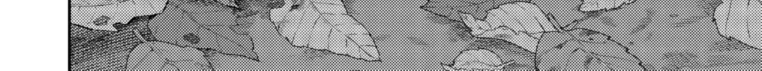 Read Fly Me to the Moon chapter 4.1 image 19 on Lezhin