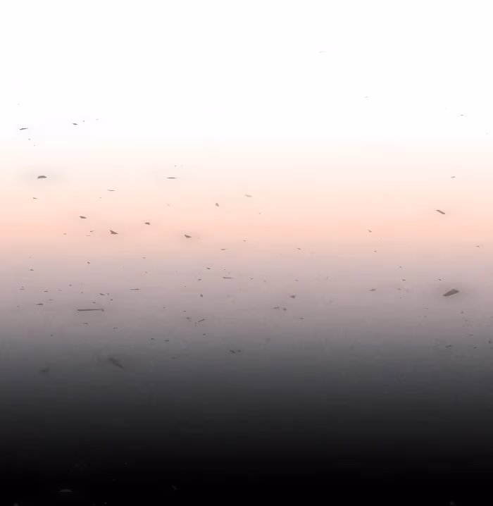 Read Flying Gulls Never Land chapter 4.1 image 2 on Lezhin