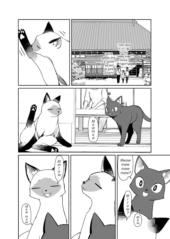 Read Flying☆Witch chapter 33 image 5 on Lezhin