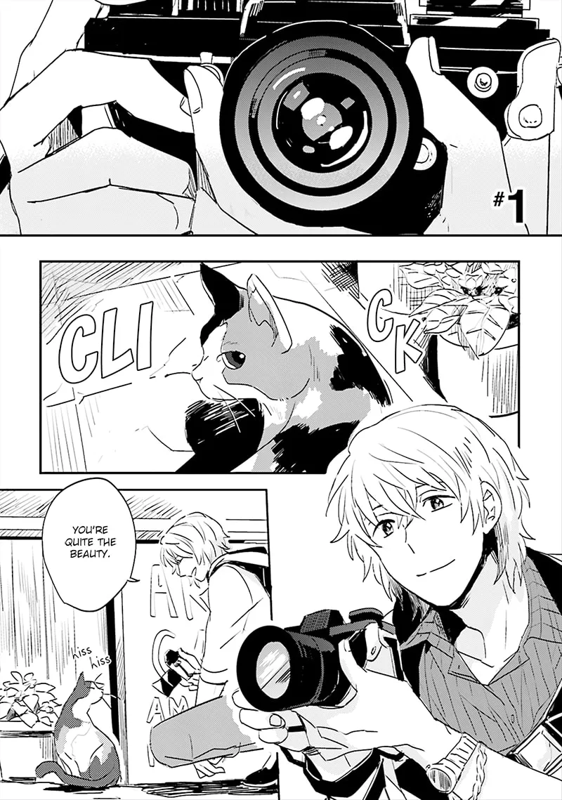 Read Focus chapter 1 image 6 on Lezhin