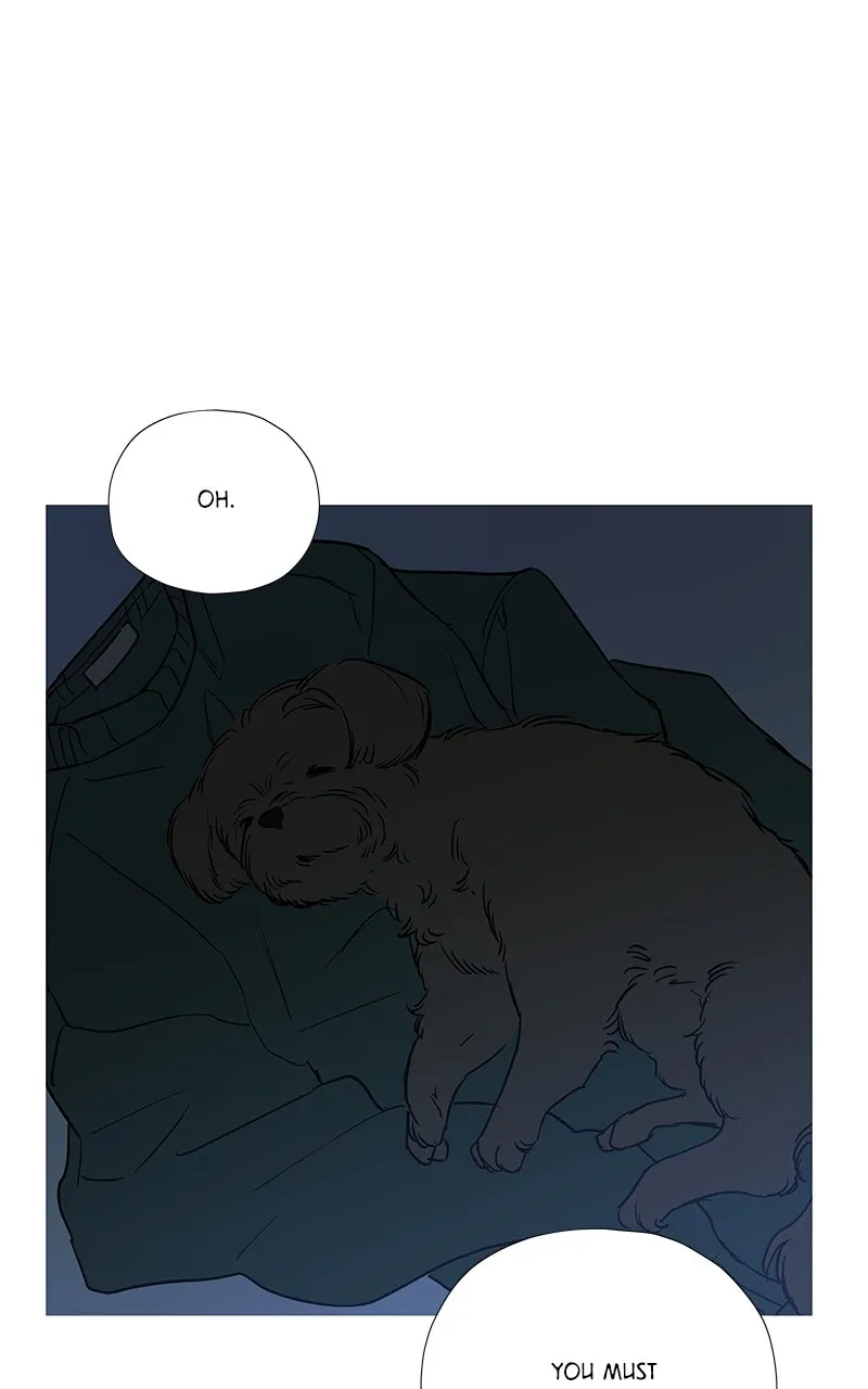 Read Footsteps in the Snow chapter 2 image 52 on Lezhin
