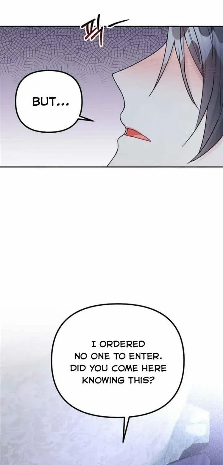 For Snow White Chapter 31 page 42 - 