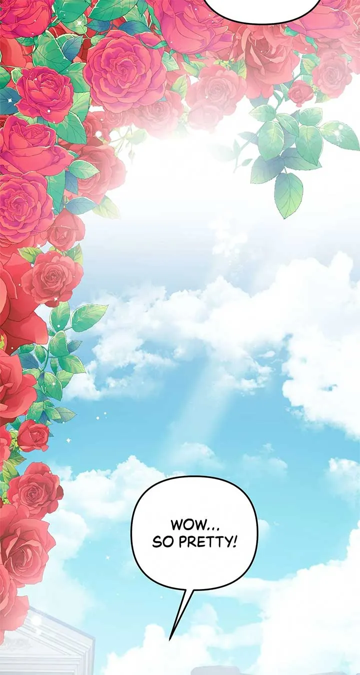 For Snow White Chapter 43 page 65 - 