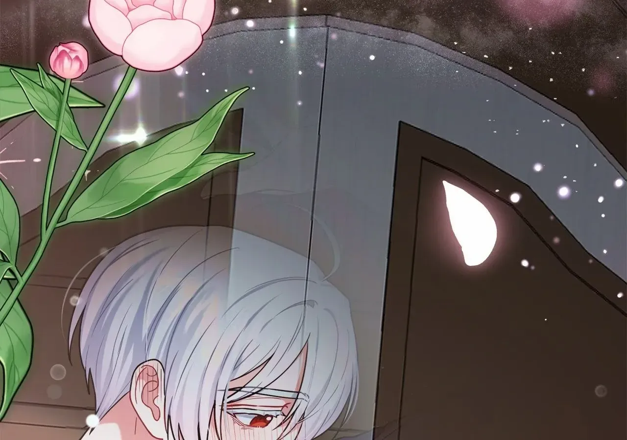 For Snow White Chapter 77 page 146 - 