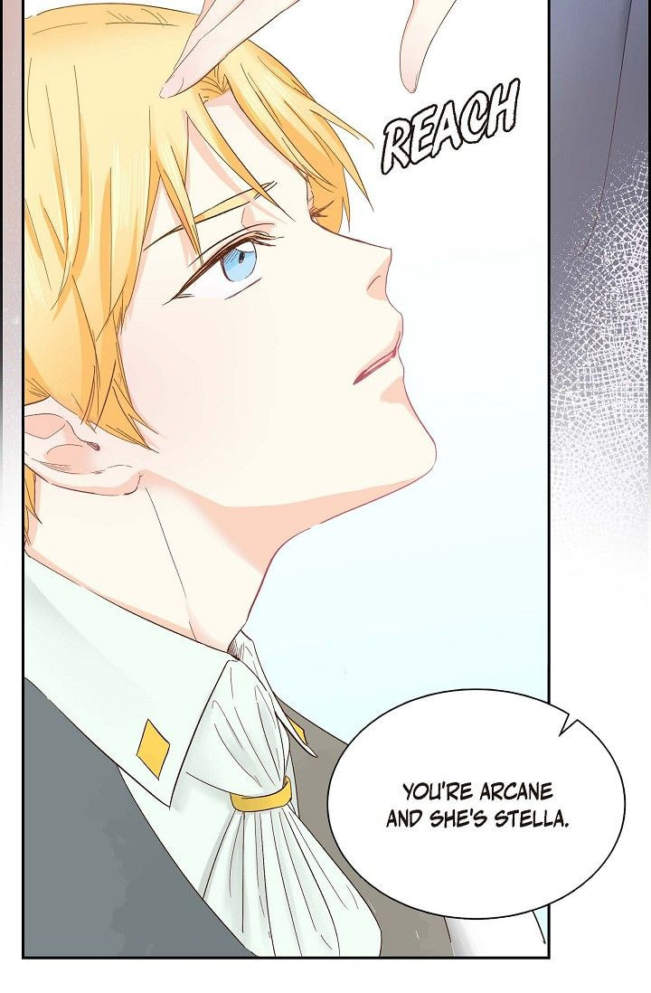 Read For Stella chapter 1 image 16 on Lezhin