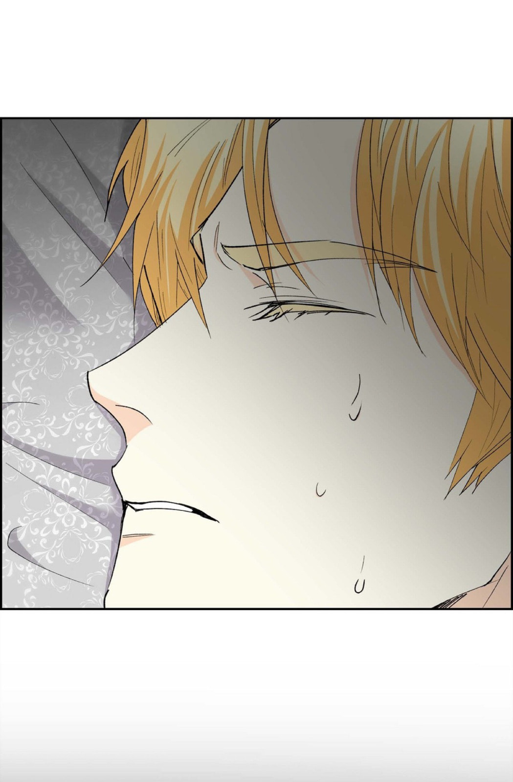 Read For Stella chapter 68 image 42 on Lezhin