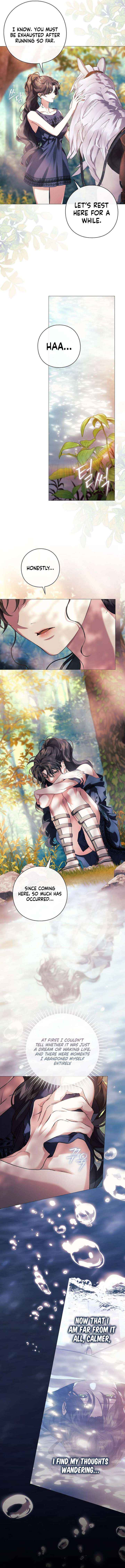 Read For the Goddesses: For Daphne chapter 19 image 5 on Lezhin