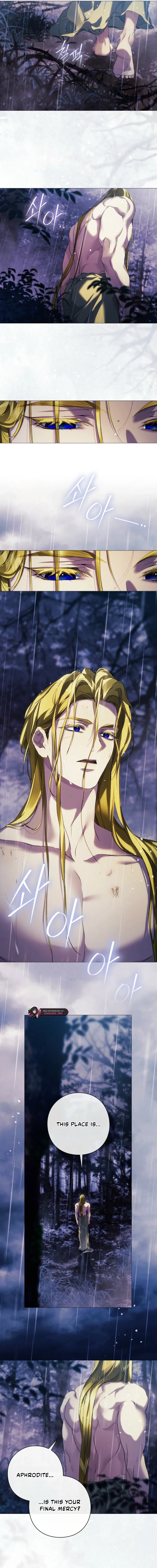 Read For the Goddesses: For Daphne chapter 41 image 6 on Lezhin