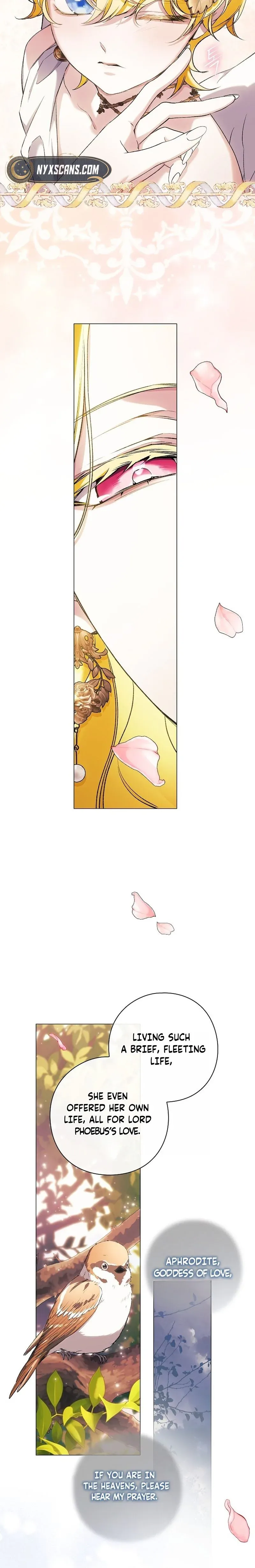 Read For the Goddesses: For Daphne chapter 43 image 16 on Lezhin