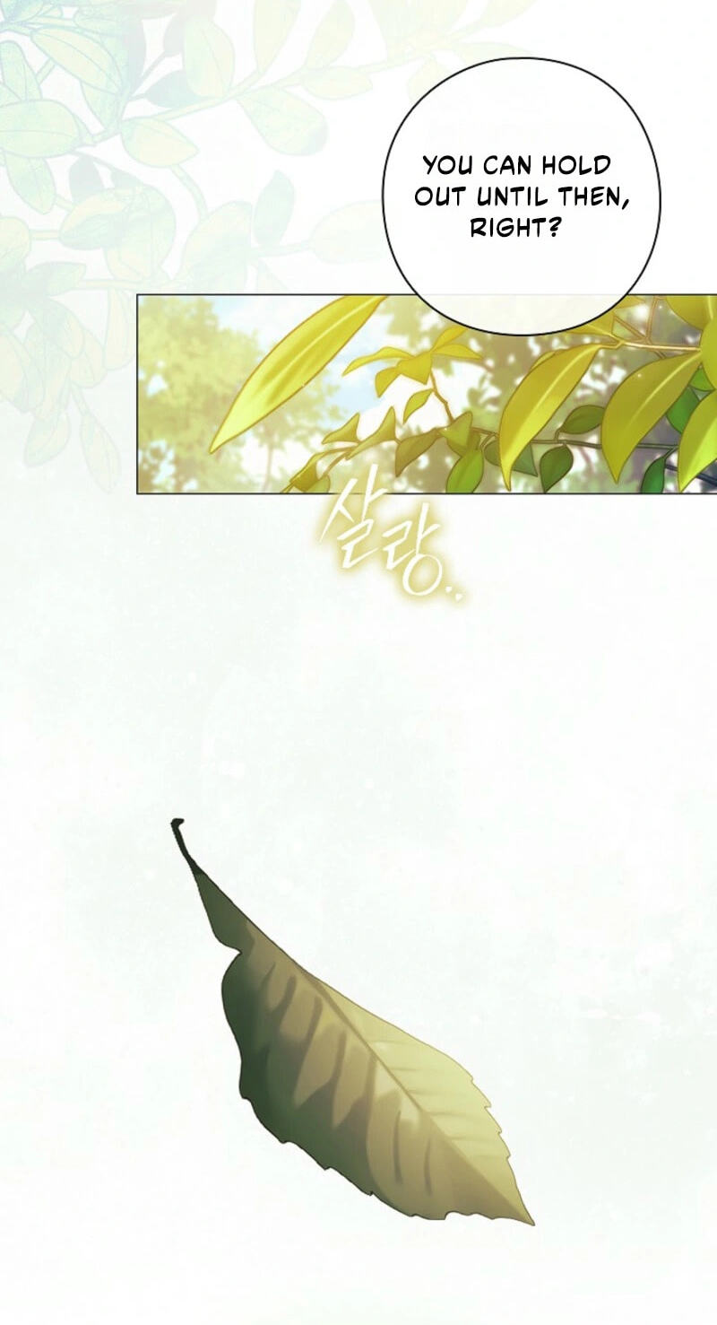 Read For the Goddesses: For Daphne chapter 44 image 60 on Lezhin