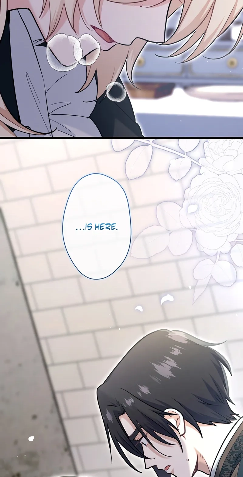 Forget That Night, Your Majesty Chapter 102 page 4 - 