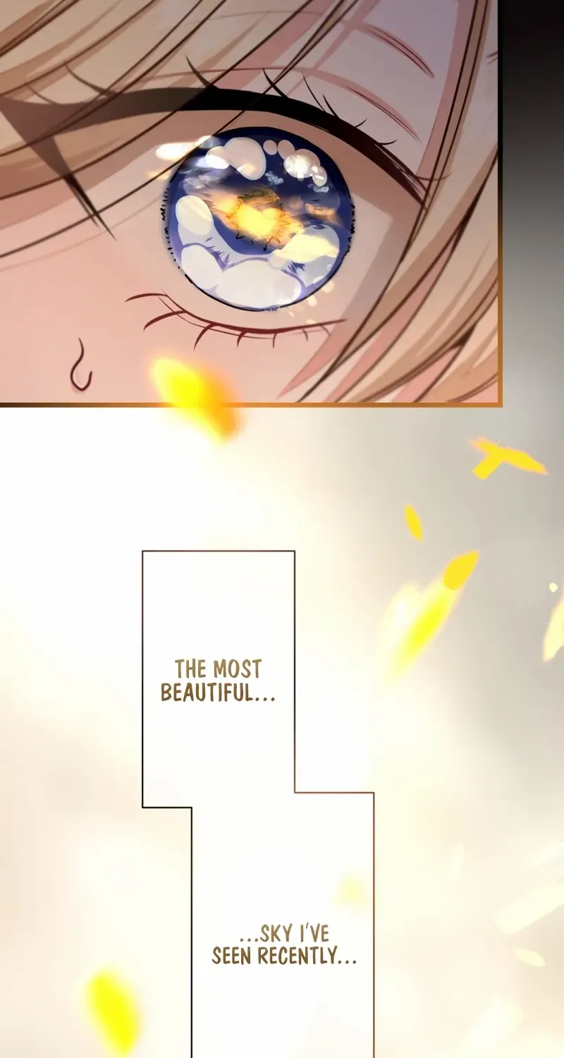 Read Forget That Night, Your Majesty chapter 48 image 47 on Lezhin
