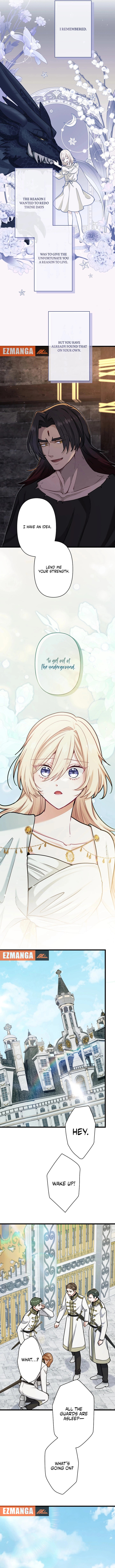 Read Forget That Night, Your Majesty chapter 64 image 5 on Lezhin