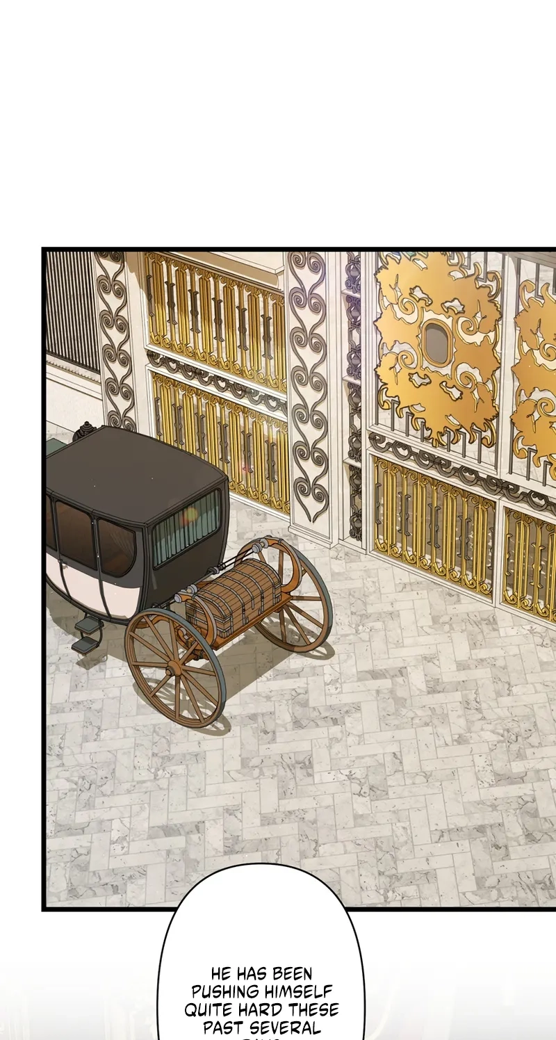 Forget That Night, Your Majesty Chapter 95 page 11 - 