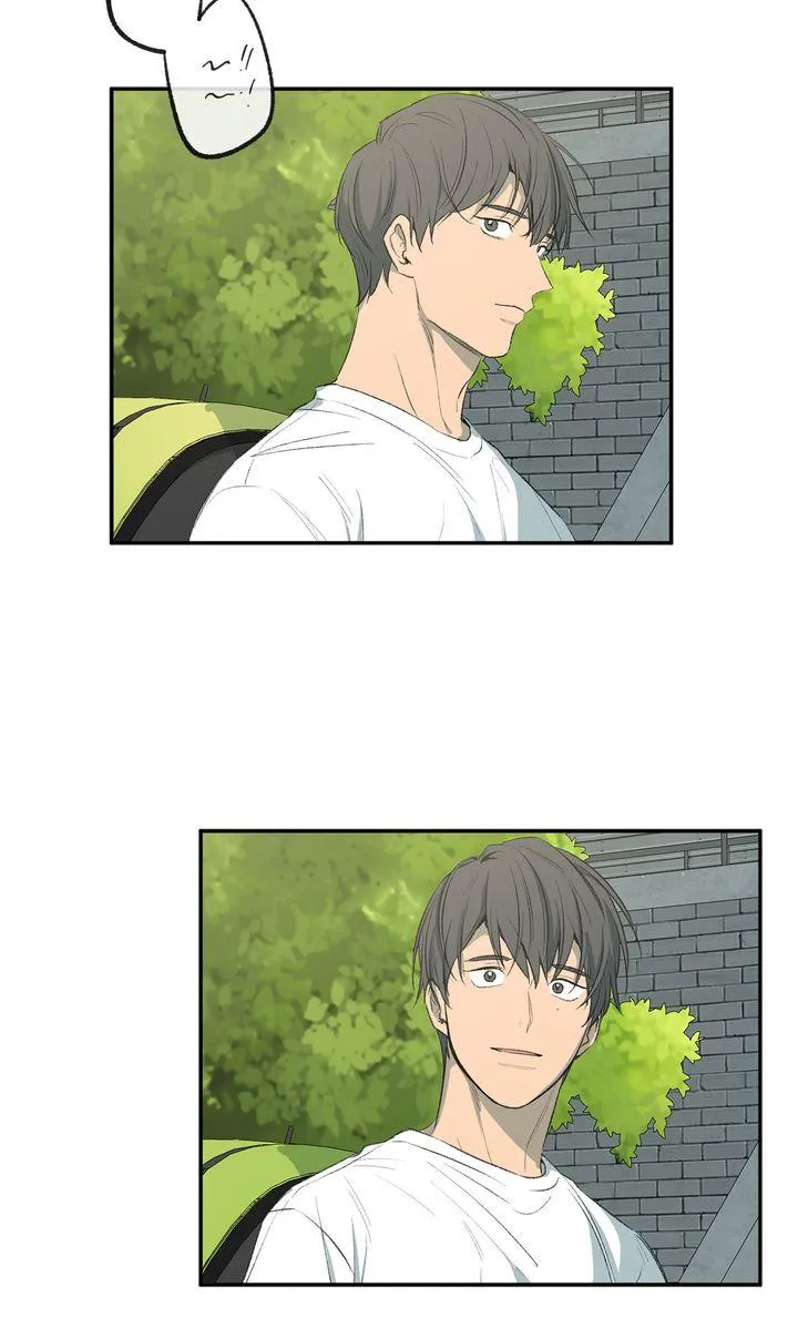 Form of Sympathy Chapter 129 page 50 - 