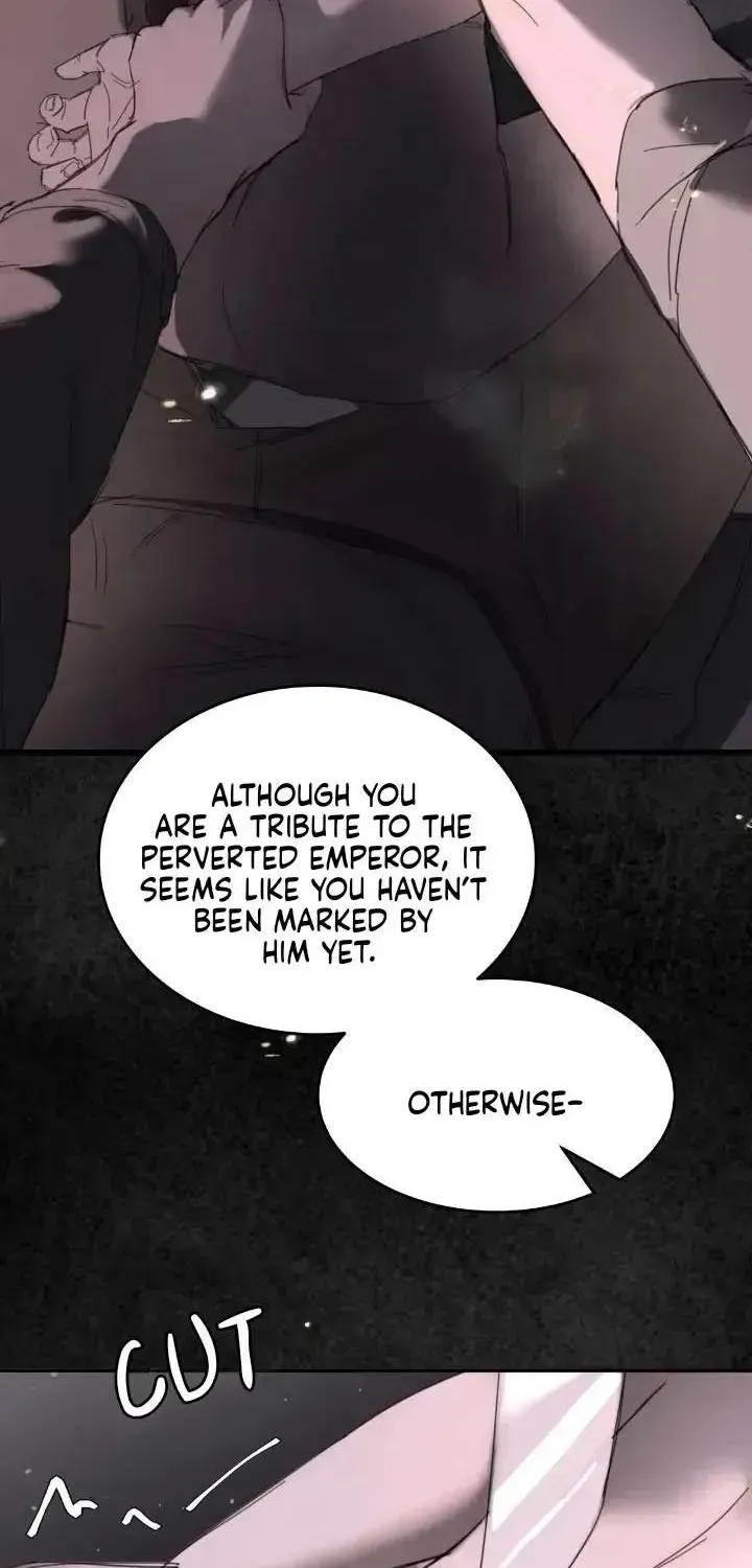 Read Former King chapter 1.2 image 37 on Lezhin
