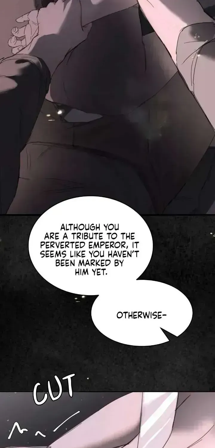 Read Former King chapter 1.6 image 37 on Lezhin