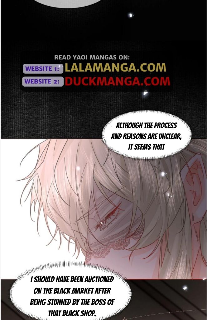Read Former King chapter 23 image 18 on Lezhin
