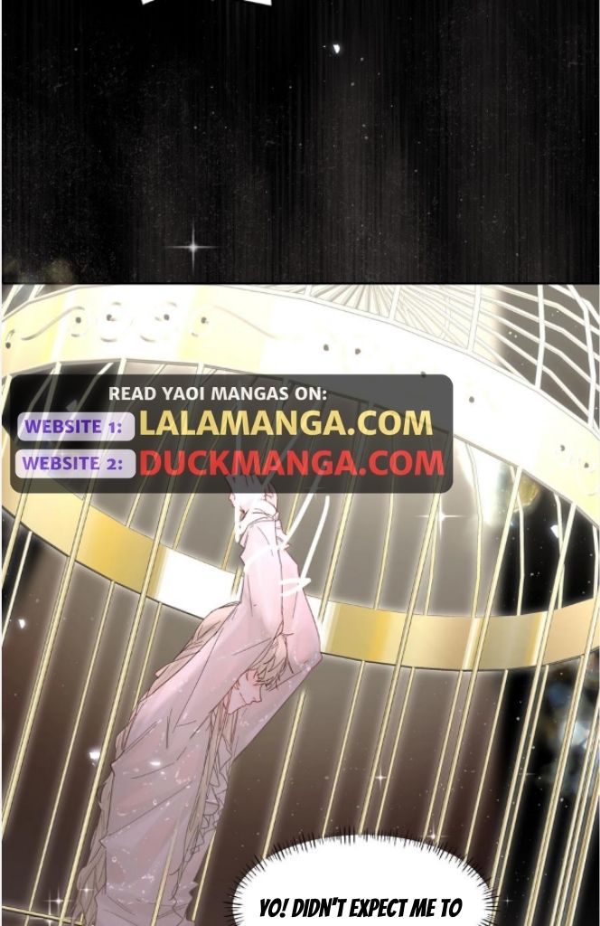 Read Former King chapter 23 image 26 on Lezhin
