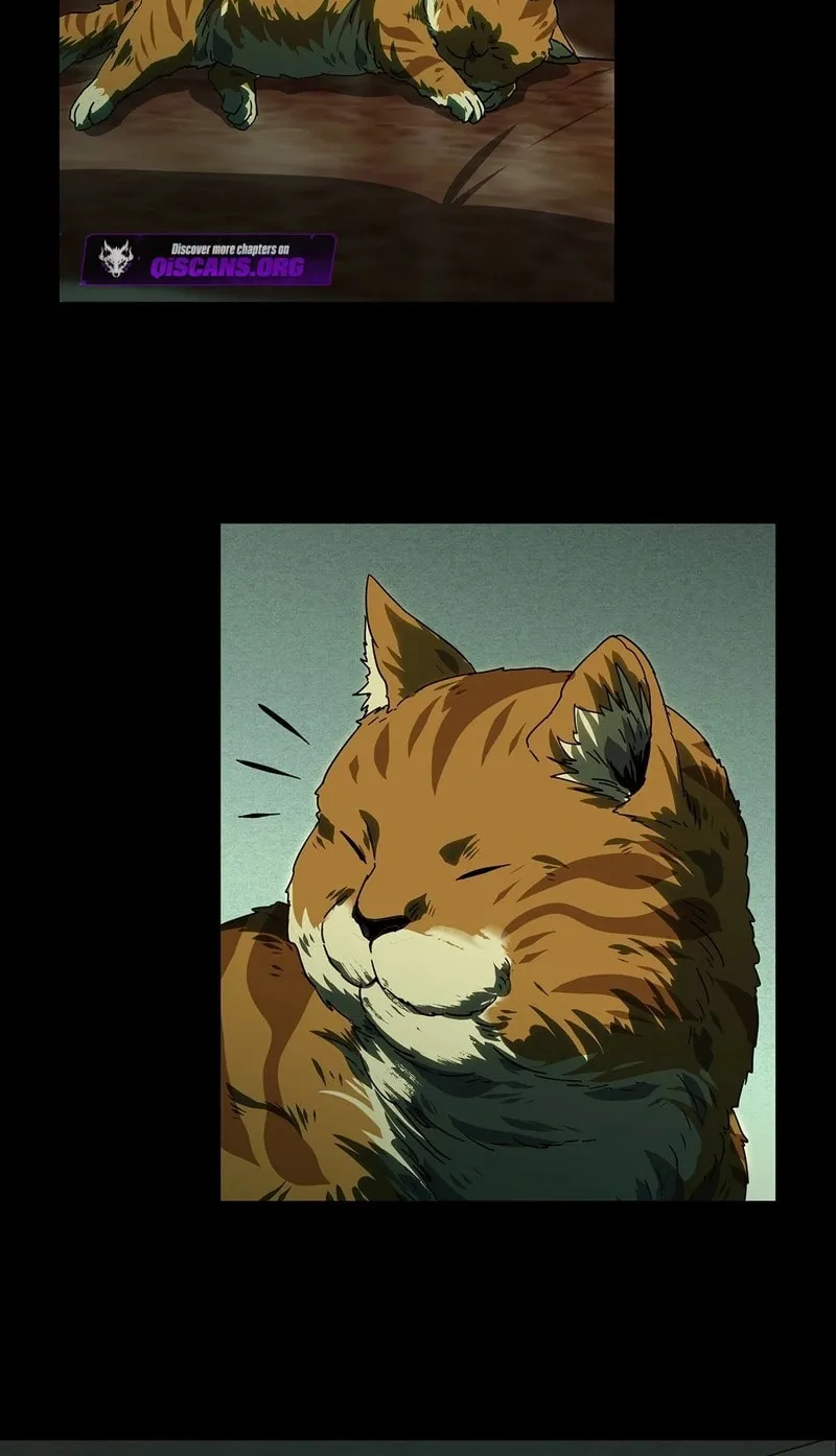Read Formless Form (Colored) chapter 264 image 5 on Lezhin