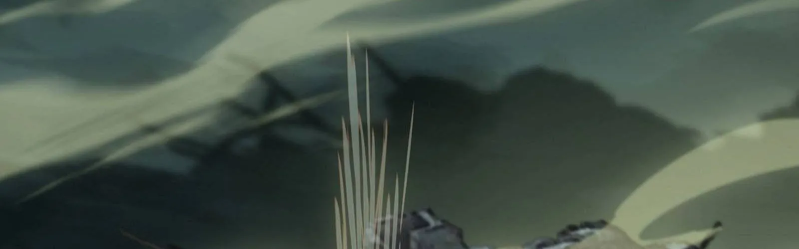 Read Formless Form chapter 84 image 69 on Lezhin