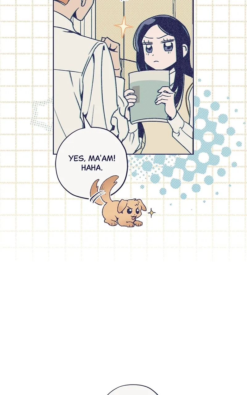 Read Four Options chapter 1 image 89 on Lezhin
