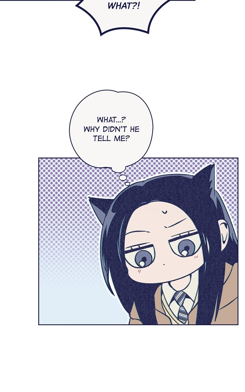 Read Four Options chapter 24 image 17 on Lezhin