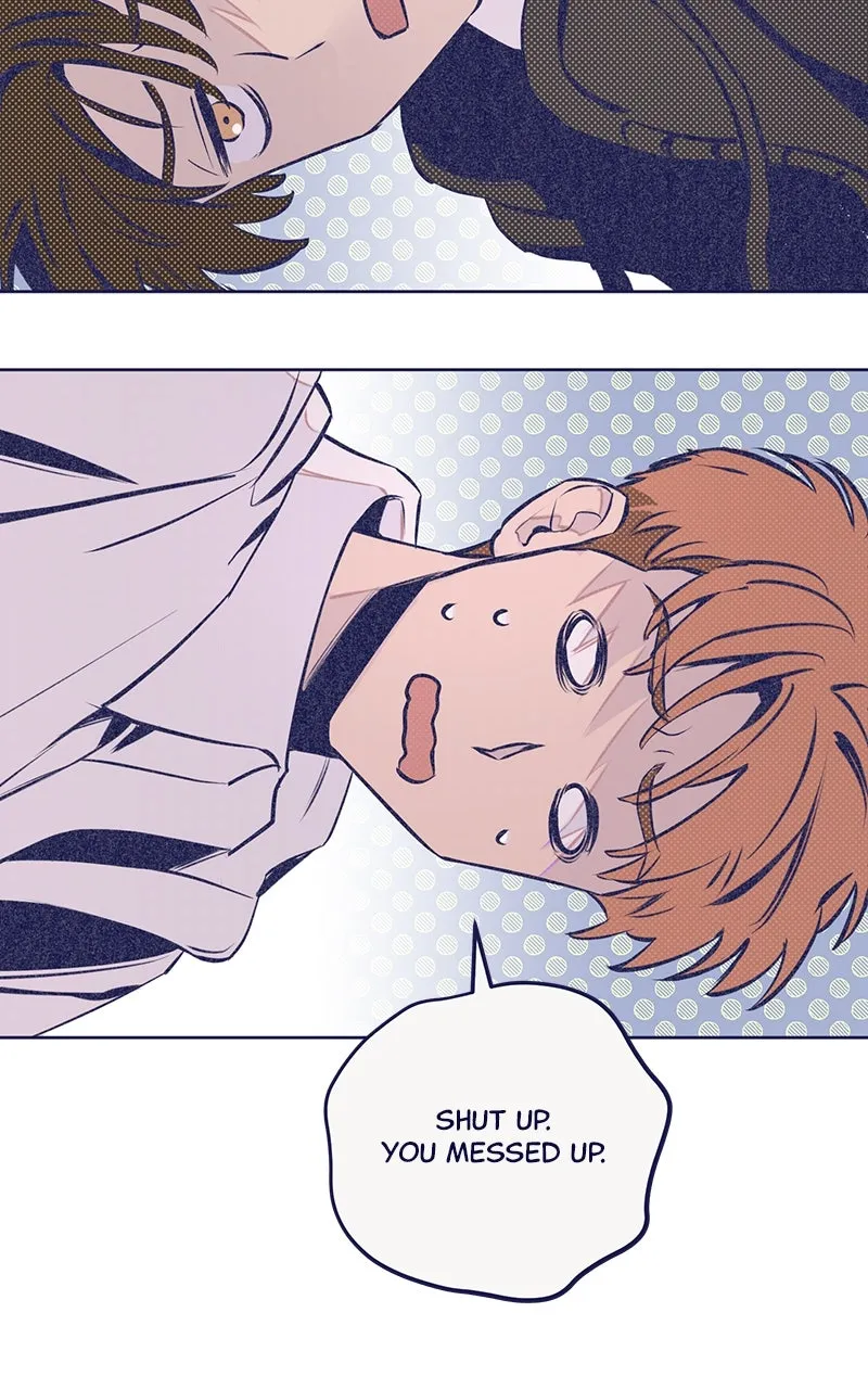 Read Four Options chapter 3 image 63 on Lezhin