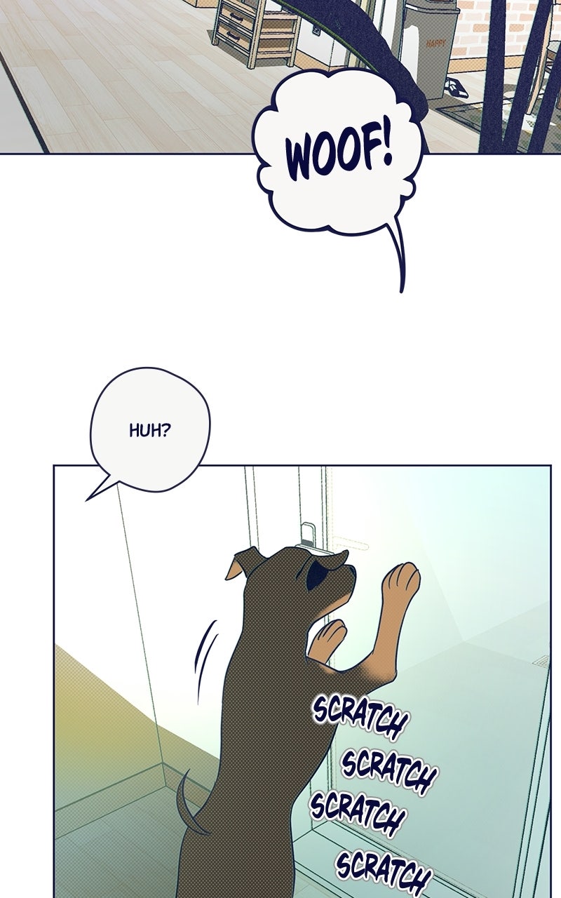 Read Four Options chapter 33 image 69 on Lezhin