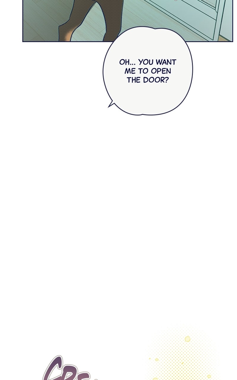 Read Four Options chapter 33 image 70 on Lezhin
