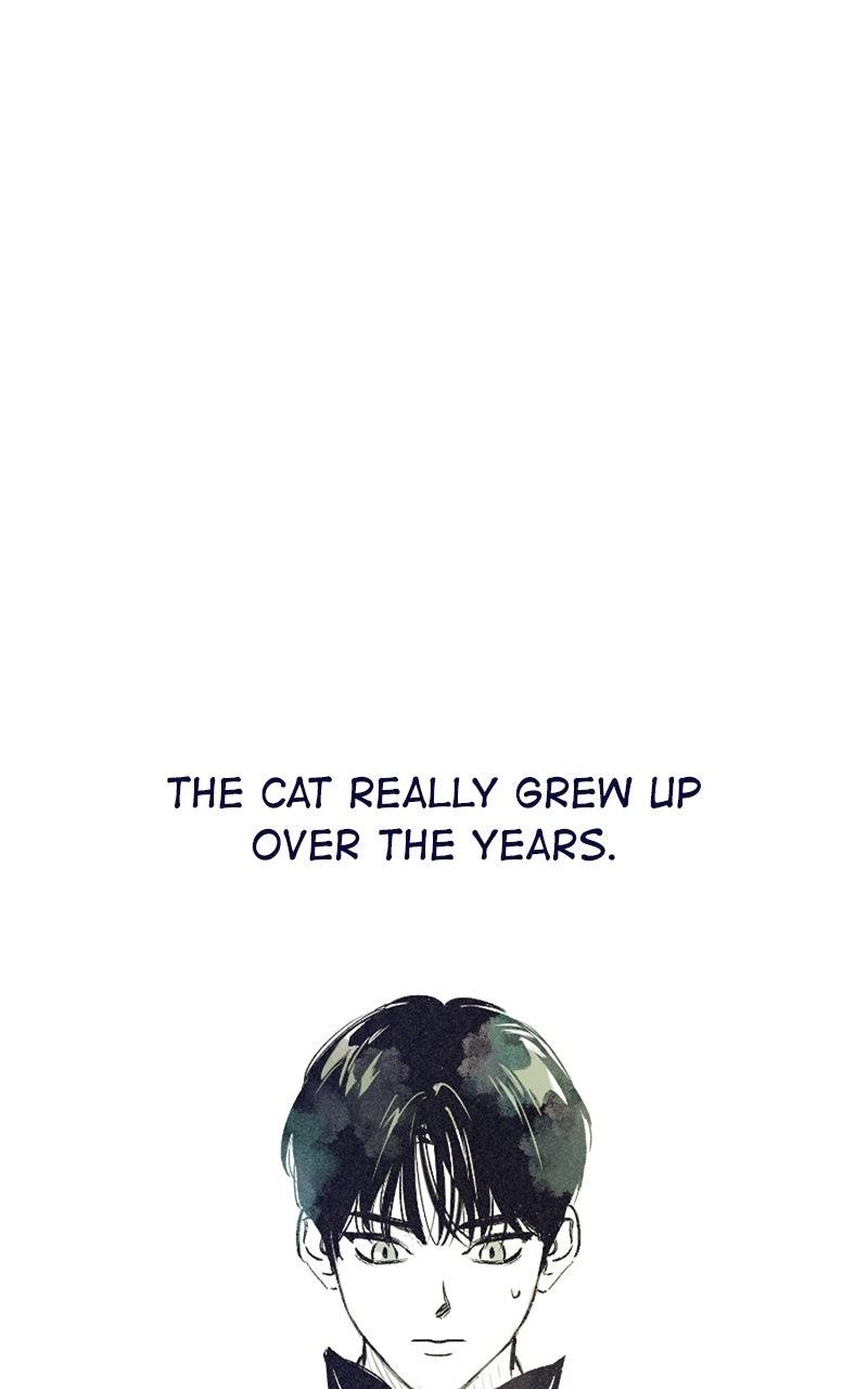 Read Four Options chapter 34.5 image 53 on Lezhin