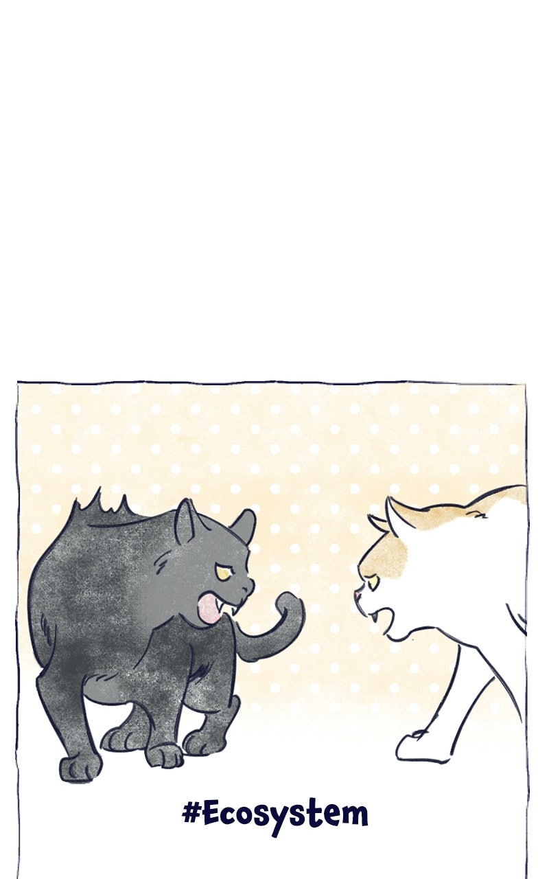 Read Four Options chapter 35 image 44 on Lezhin