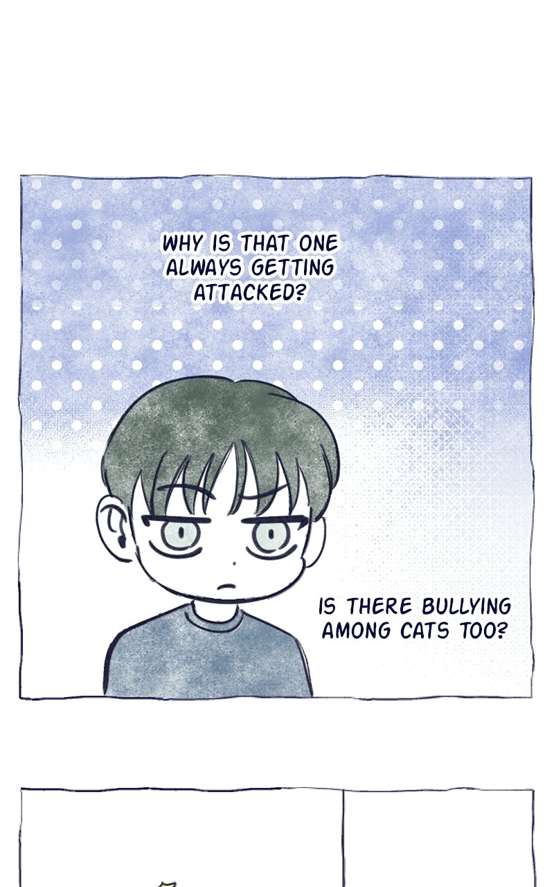 Read Four Options chapter 35 image 46 on Lezhin