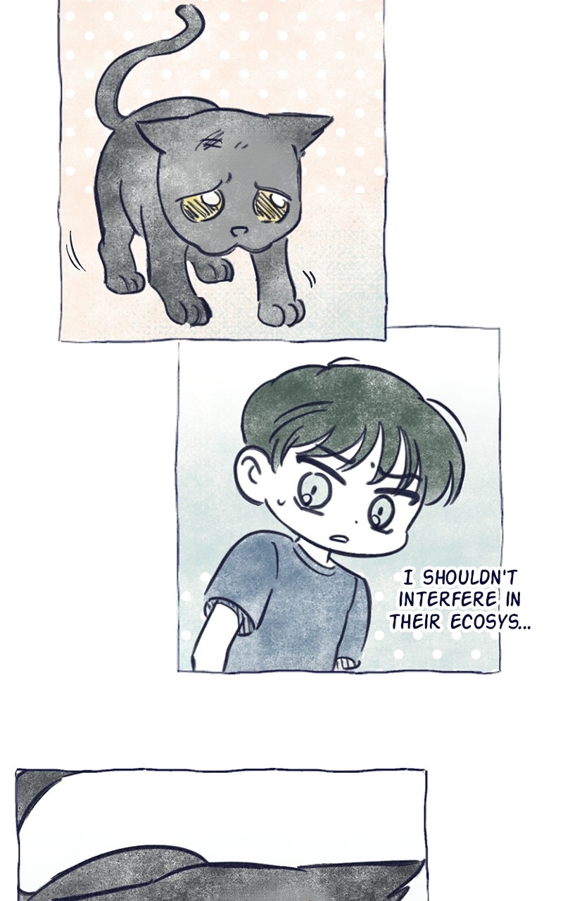 Read Four Options chapter 35 image 48 on Lezhin